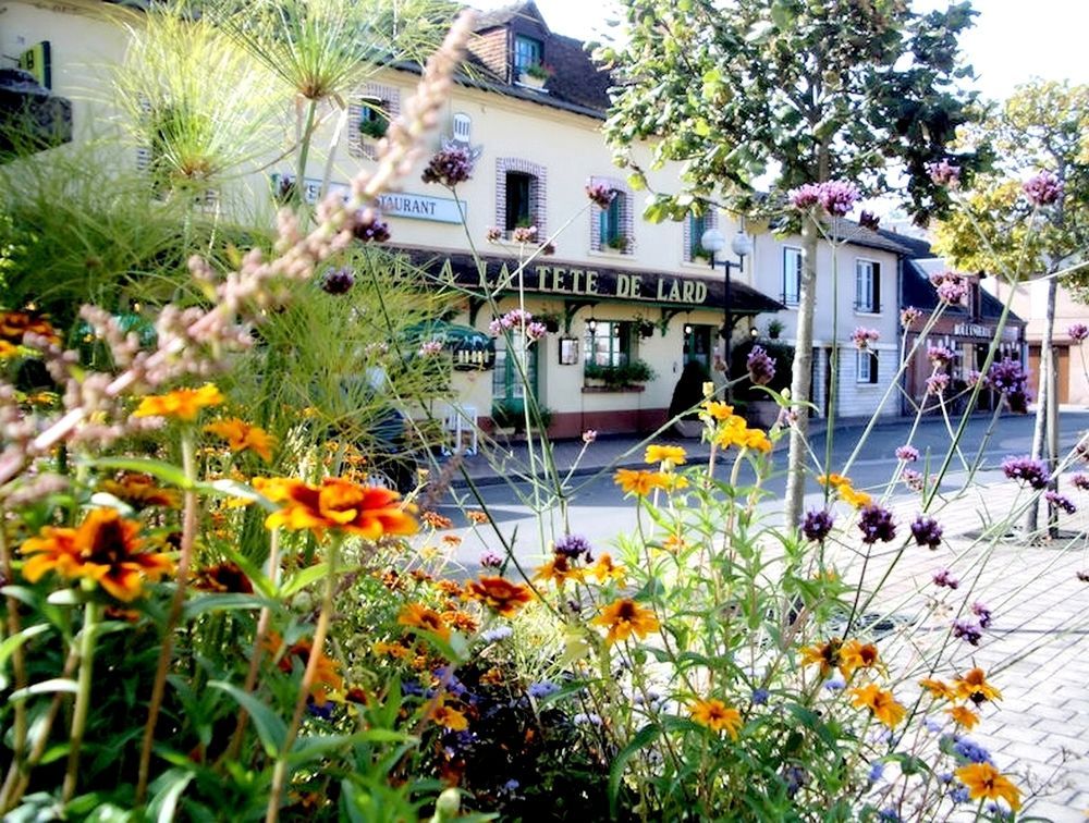 Logis Auberge A La Tete De Lard Ла-Ферте-Эмбо Экстерьер фото